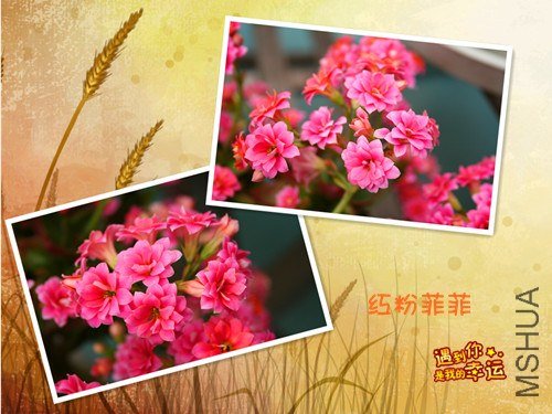 ��Ƭ 099_����.jpg