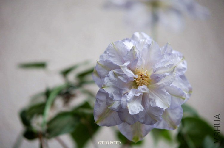 DSC_3144_����.jpg