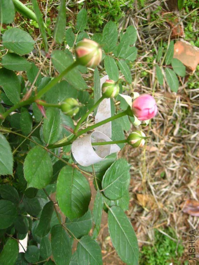 IMG_03012.jpg