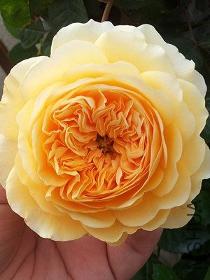 20130421_162019_����.jpg