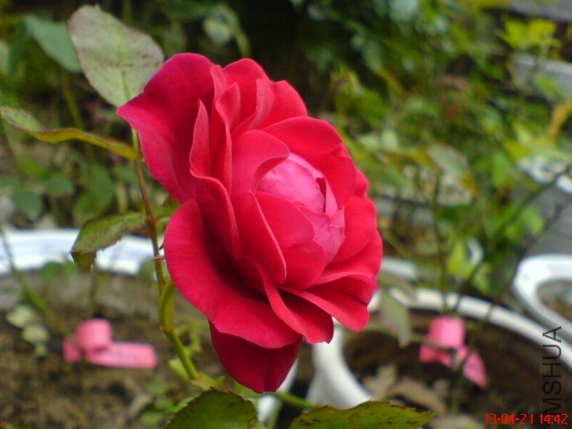 DSC00110(02).jpg
