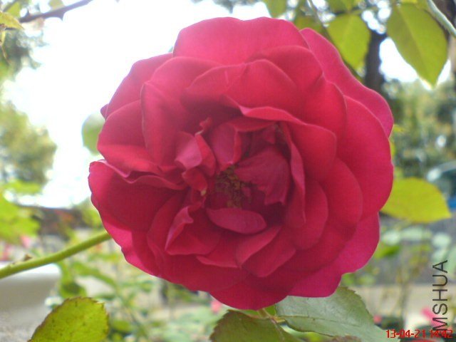 DSC00112(02).jpg