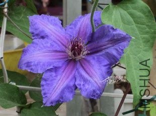DSC05108.jpg