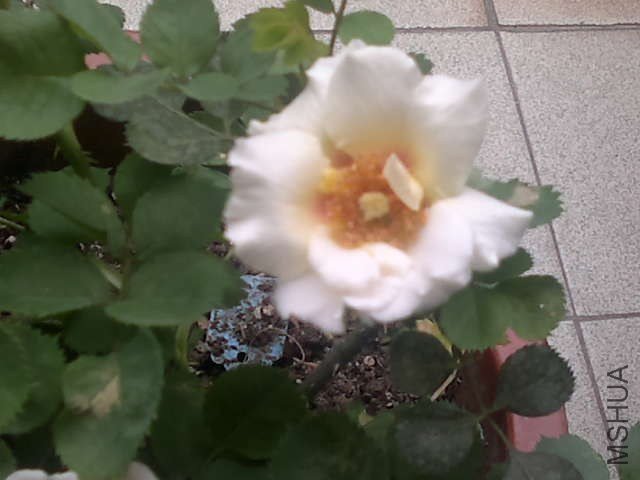 20130422390.jpg
