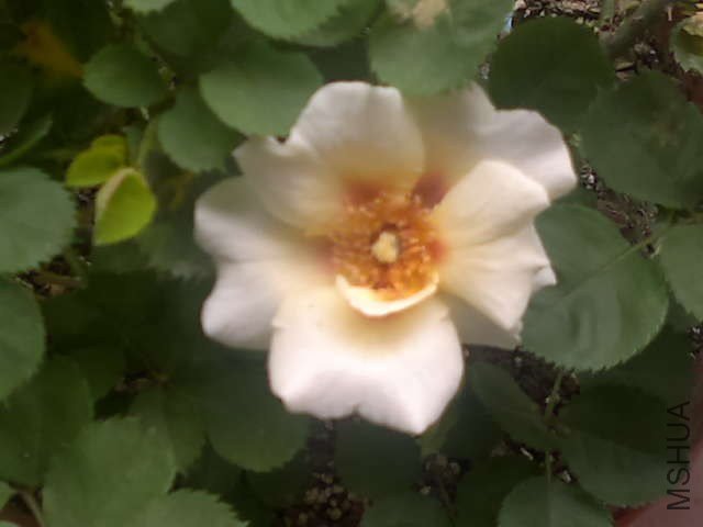 20130422391.jpg