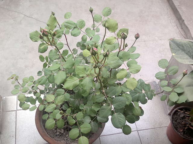 20130422394.jpg