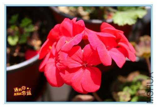 ��Ƭ 061_����.jpg