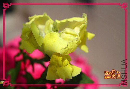 ��Ƭ 057_����.jpg