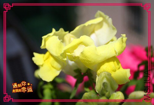 ��Ƭ 058_����.jpg