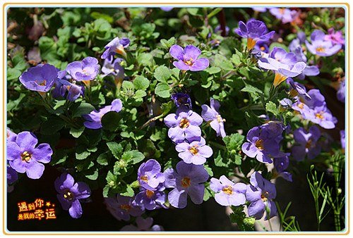 ��Ƭ 023_����.jpg