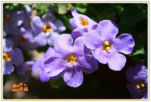 ��Ƭ 025_����.jpg