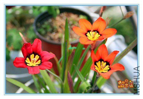 ��Ƭ 001_����.jpg