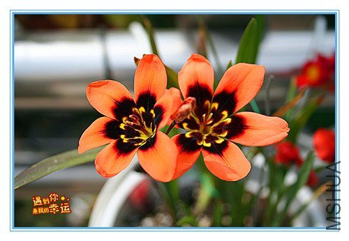 ��Ƭ 002_����.jpg