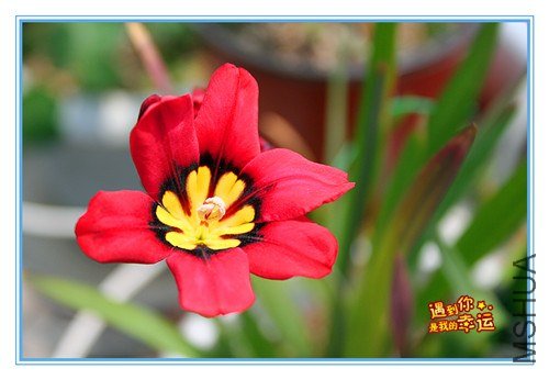 ��Ƭ 004_����.jpg