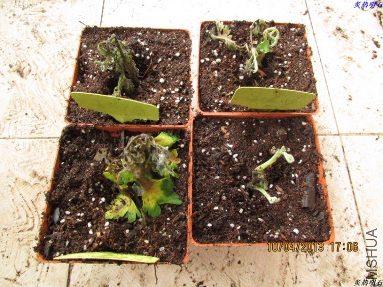 10����4��