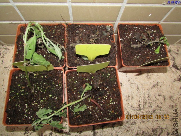 19����5��