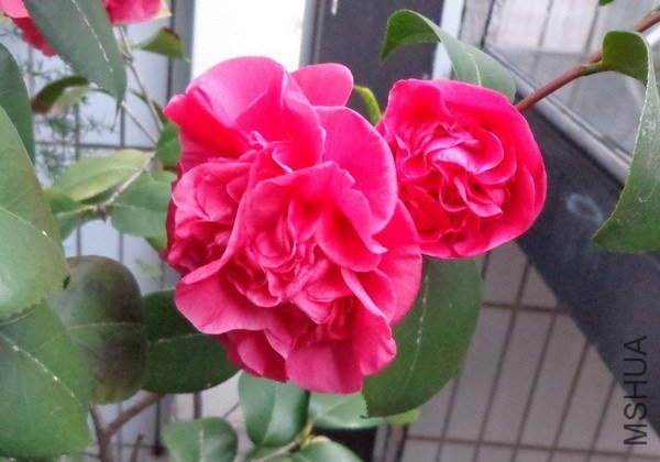 nEO_IMG_DSC00851.jpg