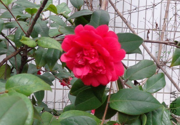 nEO_IMG_DSC00875.jpg