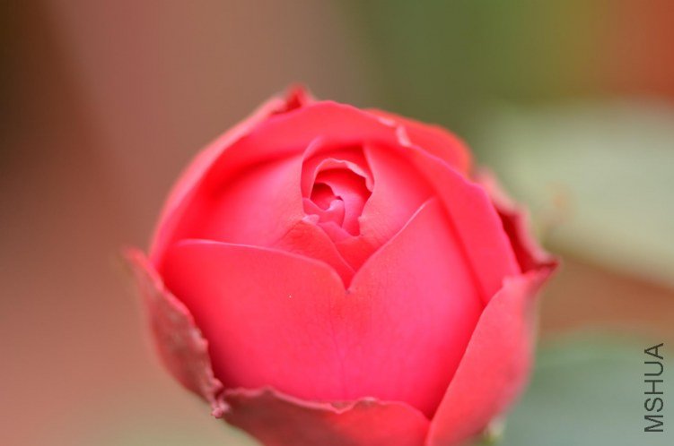 DSC_2260.JPG