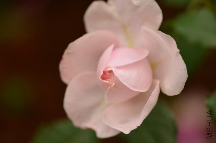 DSC_2302.JPG