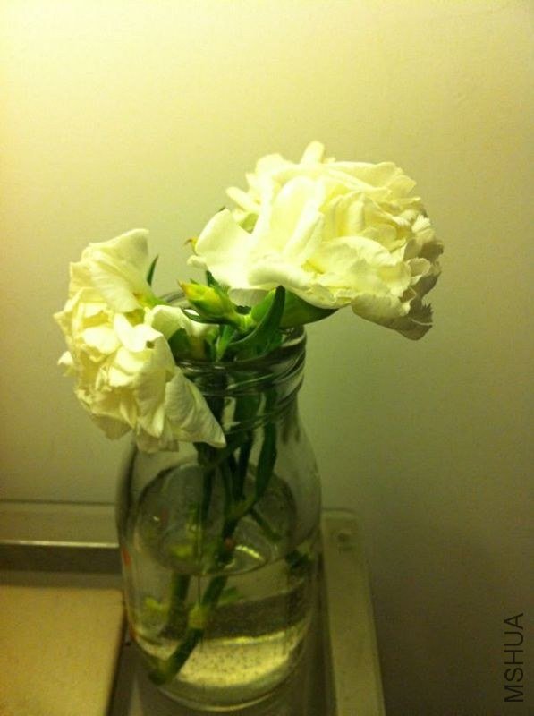 ��ɫ�Ŀ���ܰ