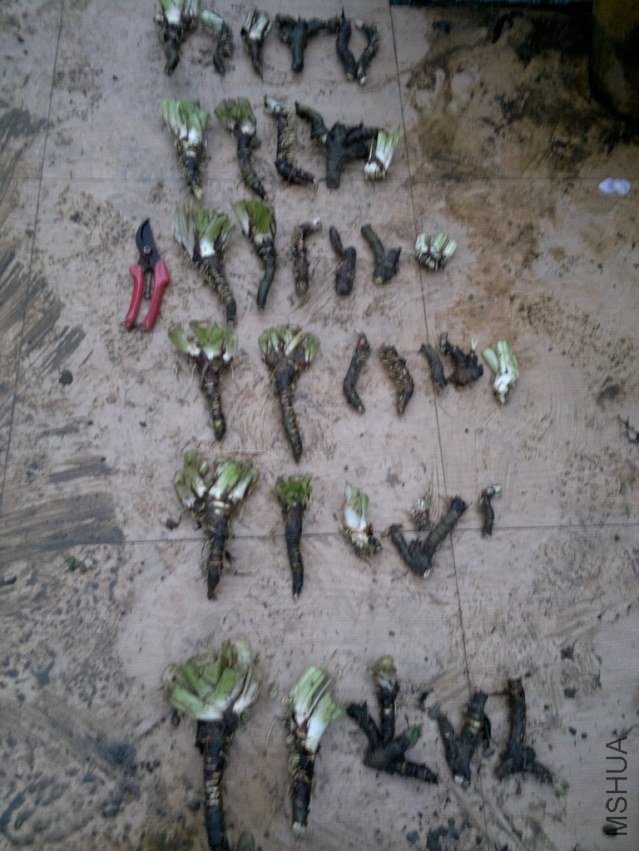 201304221508.jpg