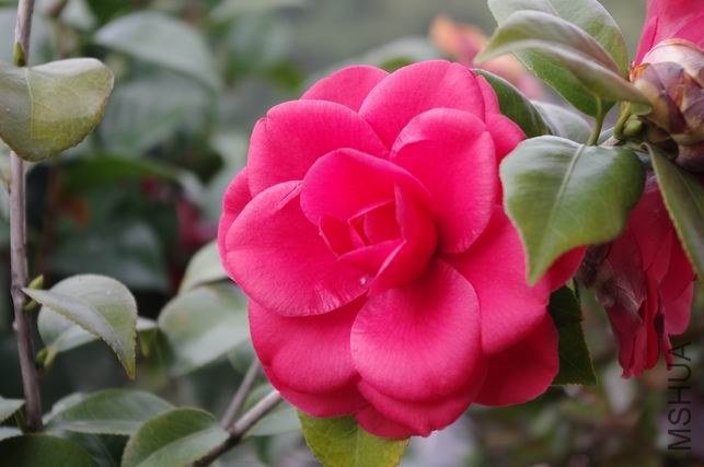 ������С IMGP1020.JPG