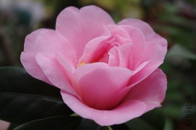 ������С IMGP1282.JPG