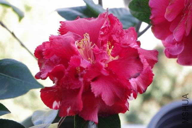 ������С IMGP1065.JPG