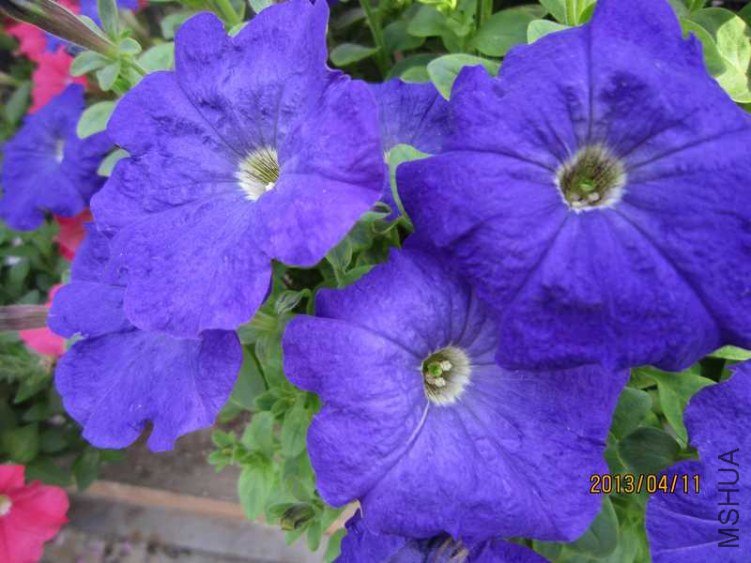 ���� IMG_9360.jpg