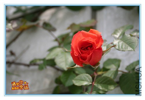 ��Ƭ 039_����.jpg