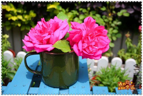 ��Ƭ 040_����.jpg