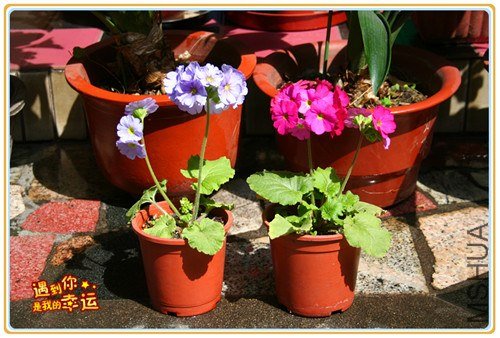 ��Ƭ 023_����.jpg