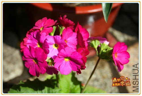 ��Ƭ 025_����.jpg