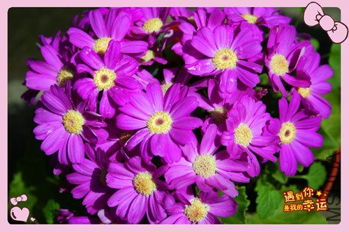 ��Ƭ 030_����.jpg