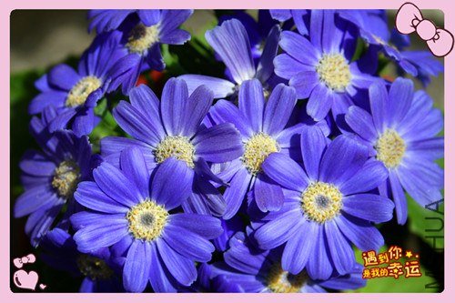 ��Ƭ 032_����.jpg