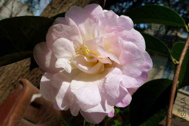 P1810479.jpg