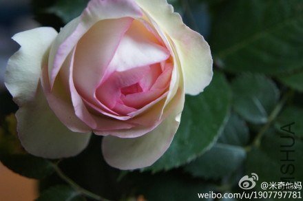 20130421���ŵ�3��