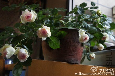 20130424ȫ�Ҹ�