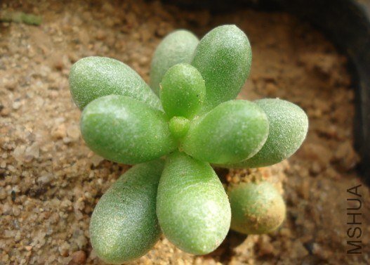 �����أ�