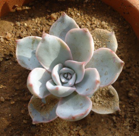 ��ʼ����  ֮ǰһֱ���  �Ǻ�