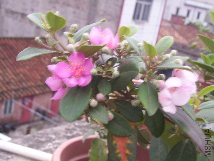 100_0363.JPG