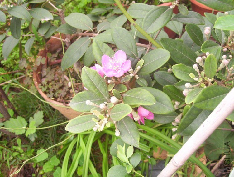 100_0371.JPG