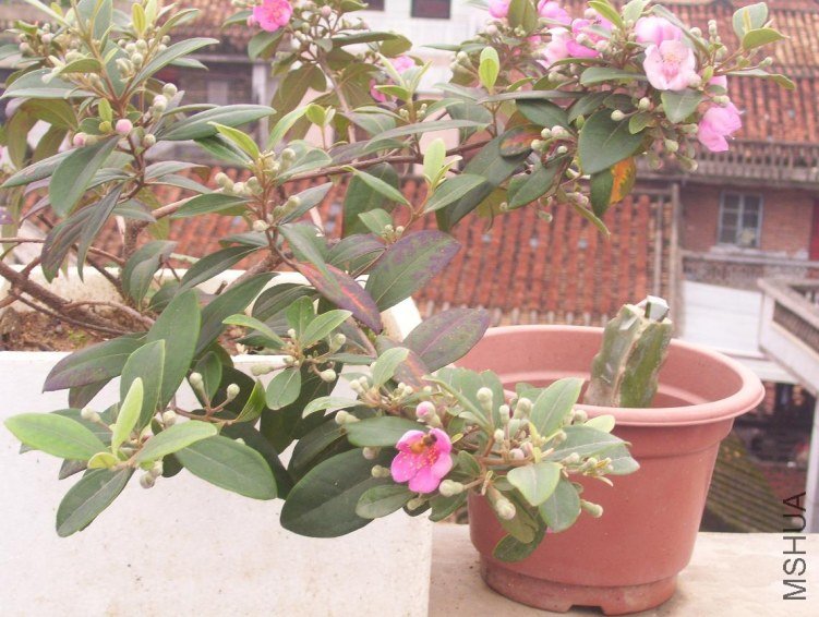 100_0374.JPG