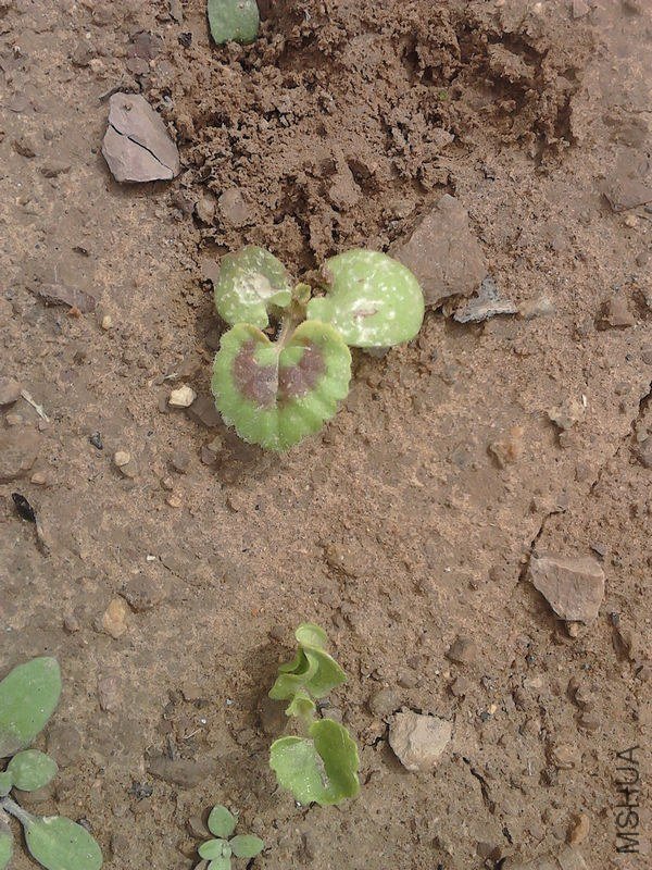 ���ڵ��ϵ�������