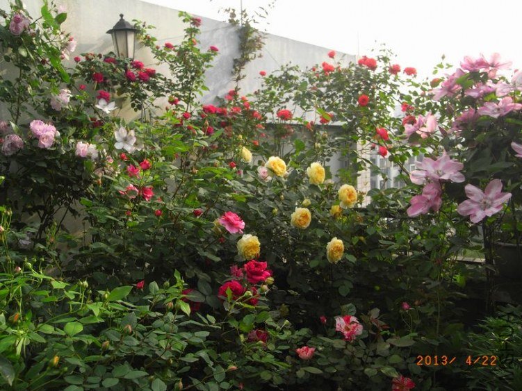 RIMG1745.JPG