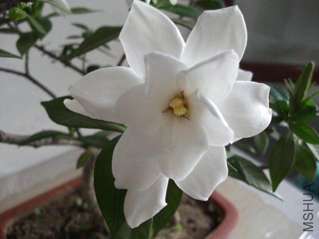 conew_��Ƭ 003.jpg