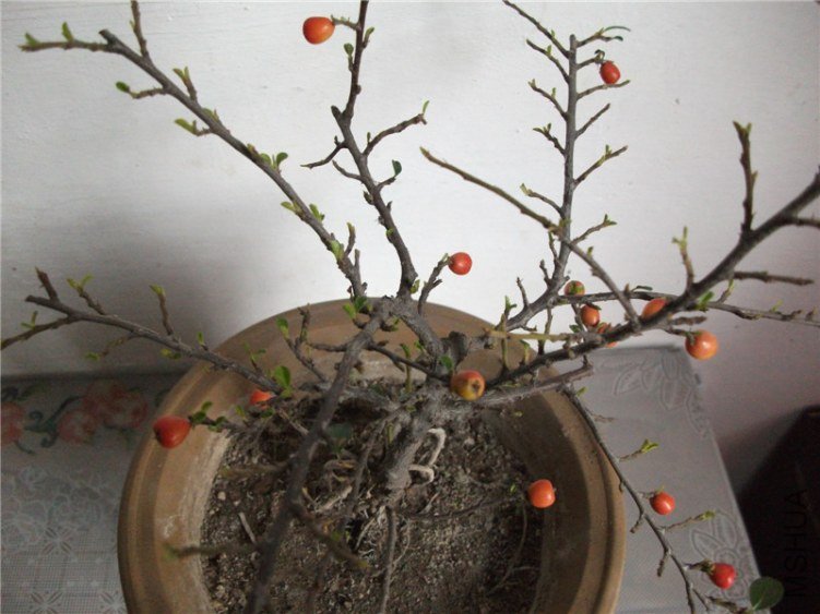 ��Ƭ 043.jpg