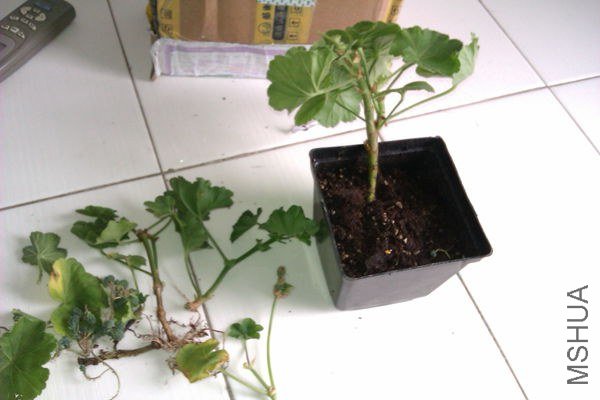 IMAG0208_����.jpg