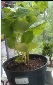 QQ��ͼ20130424124058.jpg